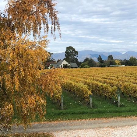 Vineyard Cottage In Blenheim On The Golden Mile Экстерьер фото
